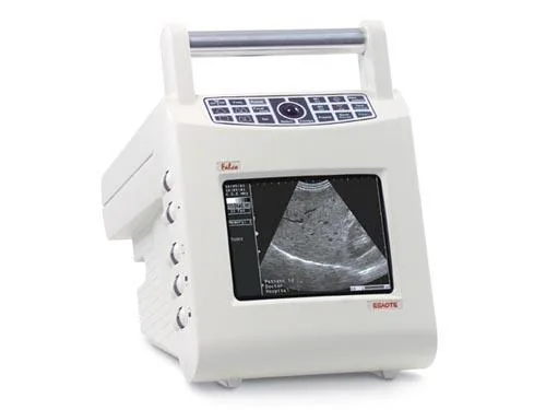 ESAOTE 100 Falco ultrasound machine