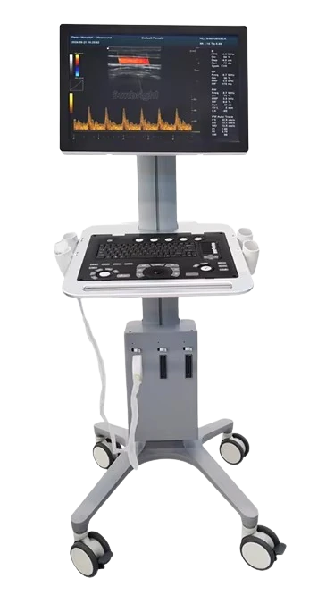 SUNBRIGHT SUN-907A ultrasound machine