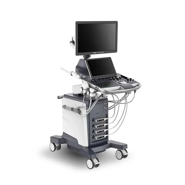 VETLIGA SV-60 ultrasound machine