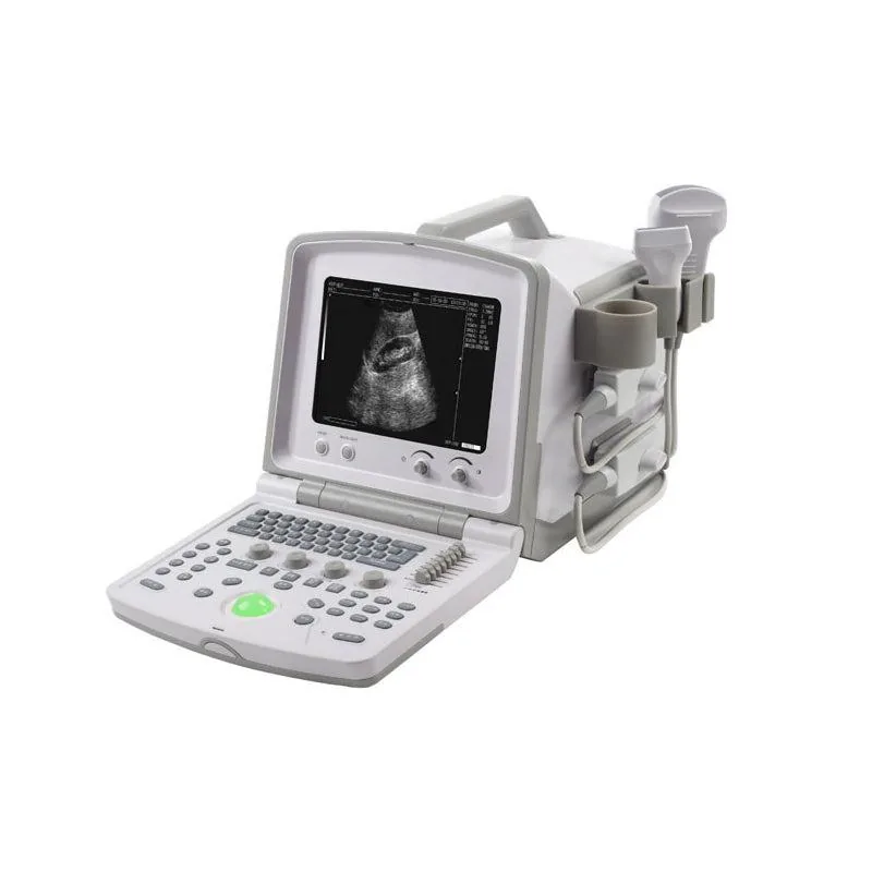 WELLD WED-380V ultrasound machine