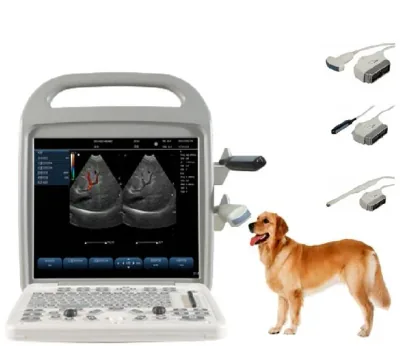 BAICHENG BCV30 ultrasound machine