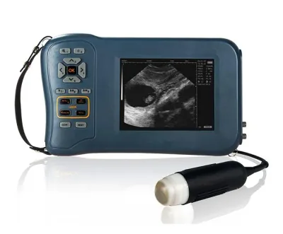 BAICHENG BCV60-S ultrasound machine
