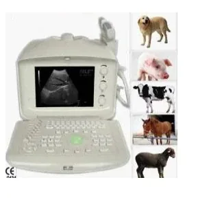 BS MEDICA BS0052 ultrasound machine