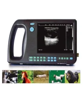 BS MEDICA BS0104 ultrasound machine