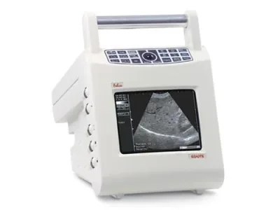 ESAOTE 100 Falco ultrasound machine