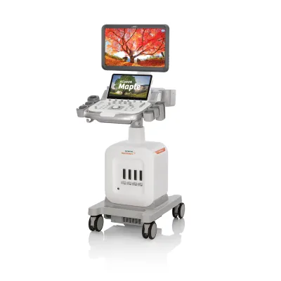 SIEMENS ACUSON Maple ultrasound machine