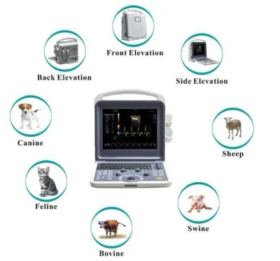 WALEETA HV-10 ultrasound machine