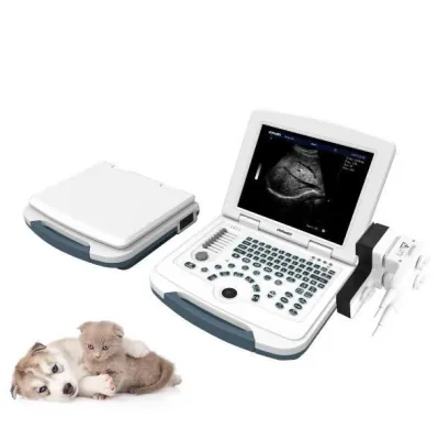 WALEETA HV-11 ultrasound machine