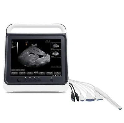WALEETA HV-50A ultrasound machine